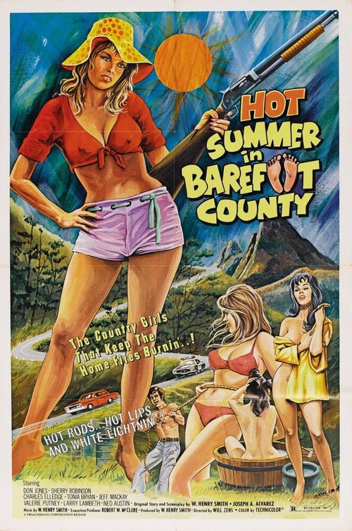 Обложка (Постер) Жаркое лето в округе Бэрфут / Hot Summer in Barefoot County (1974) SATRip
