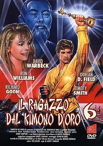 Обложка (Постер) Золотое кимоно воина 6 / Il ragazzo dal kimono d'oro 6 (1993) 