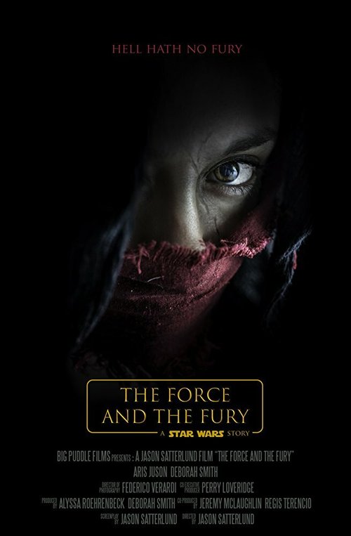 Обложка (Постер) Звёздные войны: Сила и ярость / Star Wars: The Force and the Fury (2017) 
