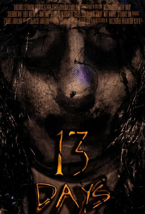 Обложка (Постер) 13 Days (2016) CAMRip