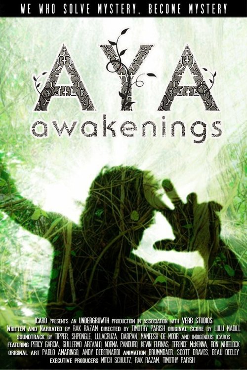 Обложка (Постер) Aya: Awakenings (2013) HDRip Обложка (Постер) Aya: Awakenings (2013) HDRip