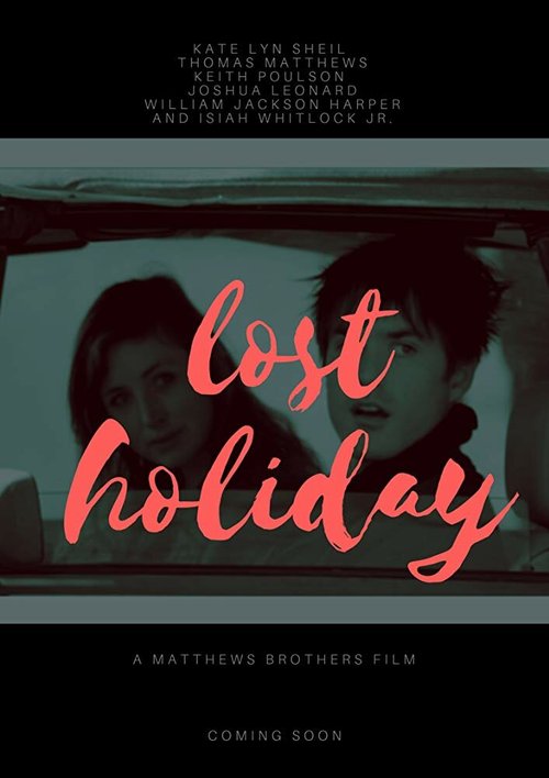Обложка (Постер) Безумные каникулы / Lost Holiday (2019) HDRip