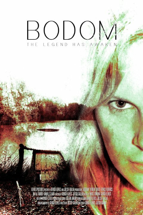 Обложка (Постер) Bodom (2014) HDRip Обложка (Постер) Bodom (2014) HDRip