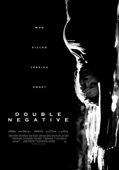 Обложка (Постер) Double Negative (2017) Обложка (Постер) Double Negative (2017)