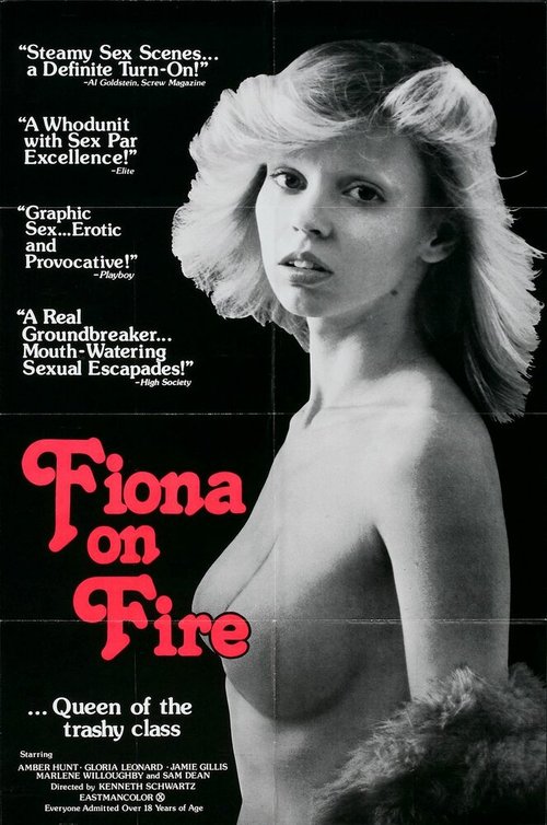 Обложка (Постер) Фиона в огне / Fiona on Fire (1978) SATRip Обложка (Постер) Фиона в огне / Fiona on Fire (1978) SATRip