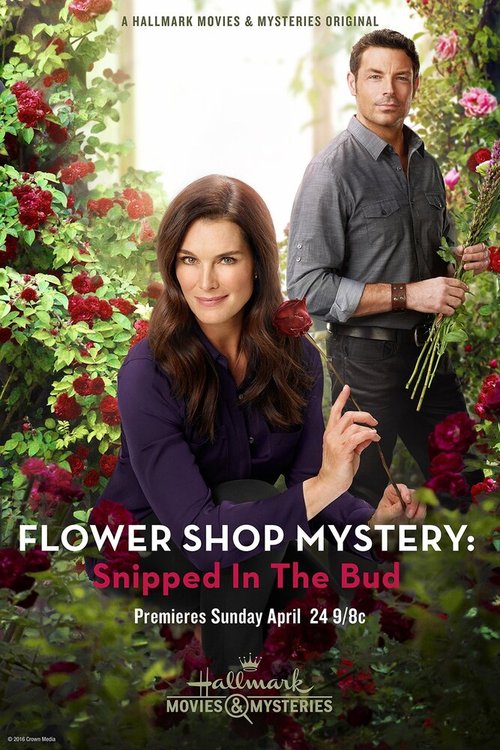 Обложка (Постер) Flower Shop Mystery: Snipped in the Bud (2016) Обложка (Постер) Flower Shop Mystery: Snipped in the Bud (2016)