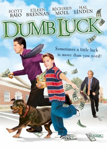 Обложка (Постер) Глупый случай / Dumb Luck (2001) HDRip Обложка (Постер) Глупый случай / Dumb Luck (2001) HDRip