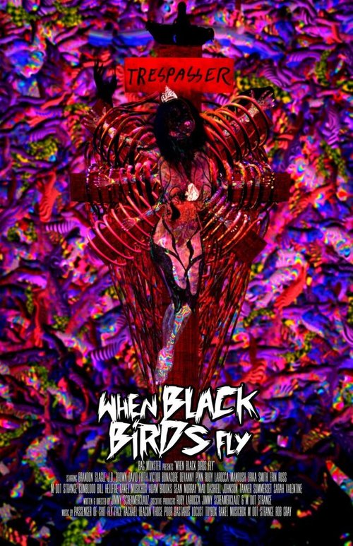 Обложка (Постер) Когда прилетают черные птицы / When Black Birds Fly (2016) CAMRip