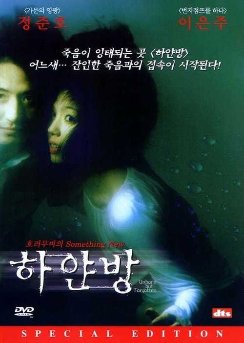 Обложка (Постер) Нерождённый и всеми забытый / Hayanbang (2002) HDRip Обложка (Постер) Нерождённый и всеми забытый / Hayanbang (2002) HDRip