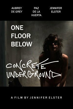 Обложка (Постер) Подземный бункер / Concrete Underground  