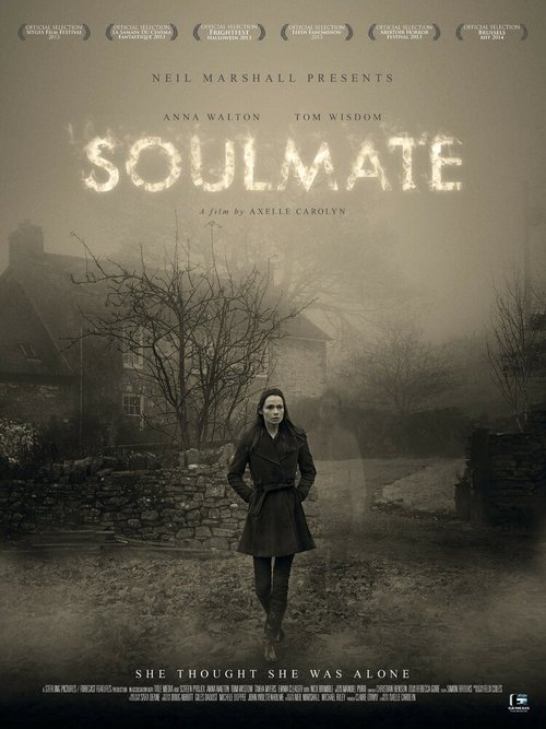 Обложка (Постер) Родственная душа / Soulmate (2013) HDRip Обложка (Постер) Родственная душа / Soulmate (2013) HDRip