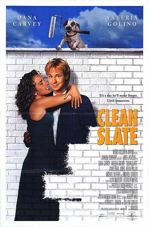 Обложка (Постер) Стерлось из памяти / Clean Slate (1994) HDRip Обложка (Постер) Стерлось из памяти / Clean Slate (1994) HDRip