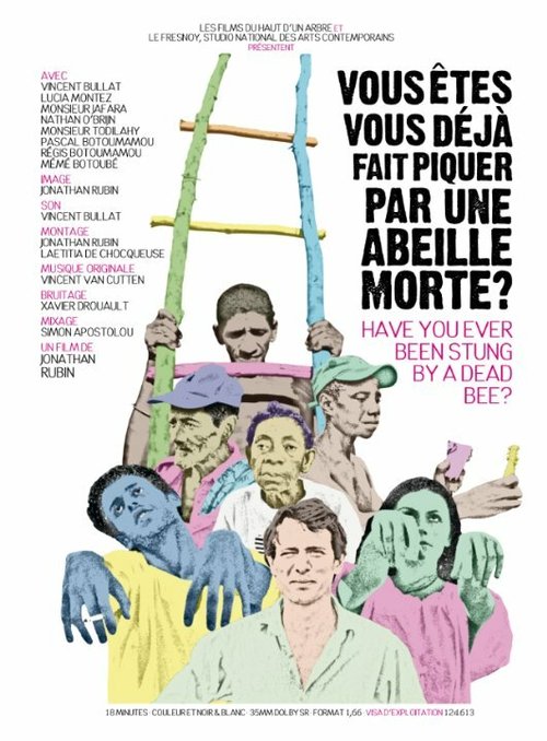 Обложка (Постер) Vous êtes-vous déjà fait piquer par une abeille morte? (2010) Обложка (Постер) Vous êtes-vous déjà fait piquer par une abeille morte? (2010)