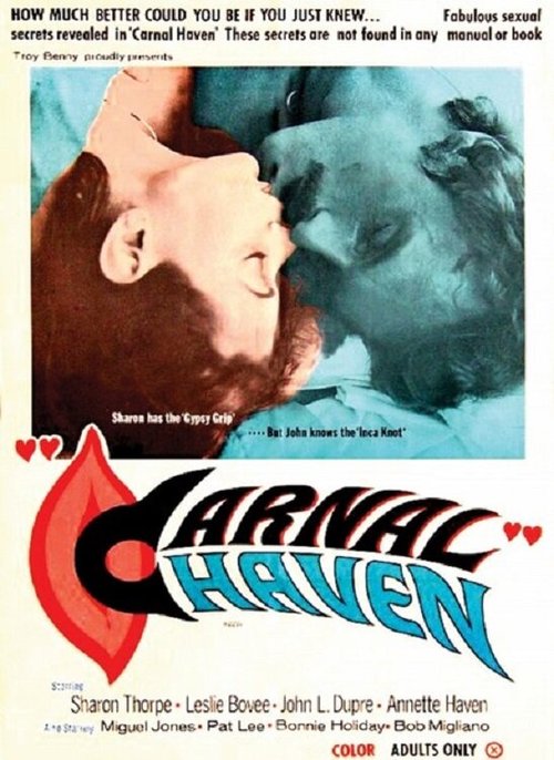 Обложка (Постер) Чувственный приют / Carnal Haven (1975) SATRip