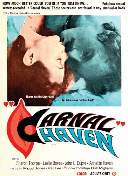 Обложка (Постер) Чувственный приют / Carnal Haven (1975) SATRip Обложка (Постер) Чувственный приют / Carnal Haven (1975) SATRip