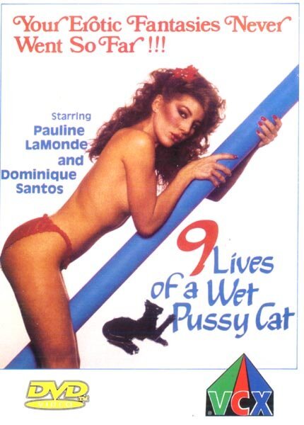 Обложка (Постер) Девять жизней влажной киски / 9 Lives of a Wet Pussy (1976) SATRip