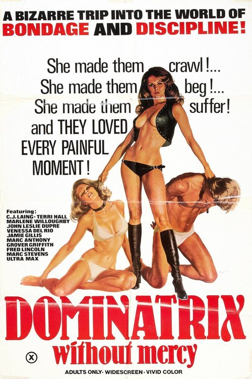 Обложка (Постер) Доминирование без милосердия / Dominatrix Without Mercy (1976) SATRip