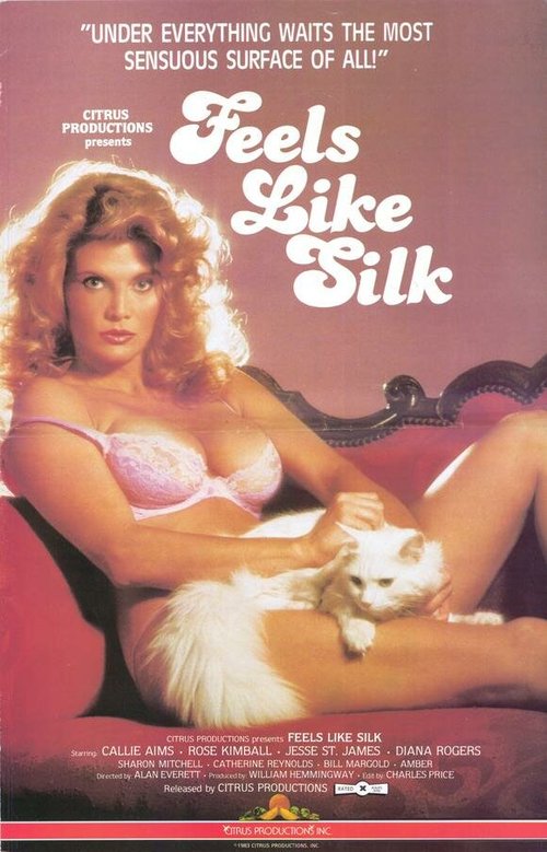 Обложка (Постер) Feels Like Silk (1983) SATRip Обложка (Постер) Feels Like Silk (1983) SATRip