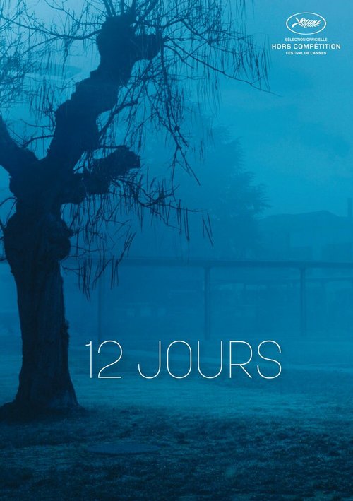 Обложка (Постер) 12 дней / 12 jours (2017) HDRip