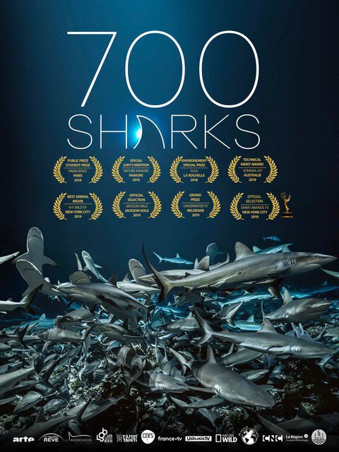 Обложка (Постер) 700 акул / 700 Sharks (2019) HDRip