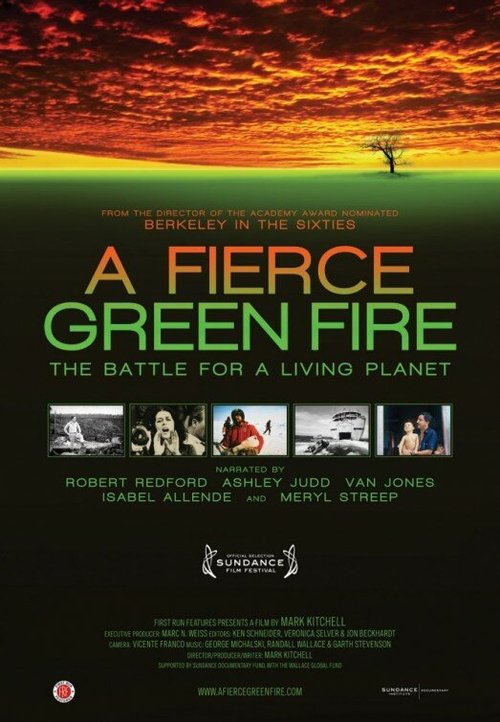 Обложка (Постер) A Fierce Green Fire (2012) HDRip Обложка (Постер) A Fierce Green Fire (2012) HDRip