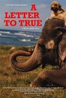 Обложка (Постер) A Letter to True (2004) HDRip Обложка (Постер) A Letter to True (2004) HDRip