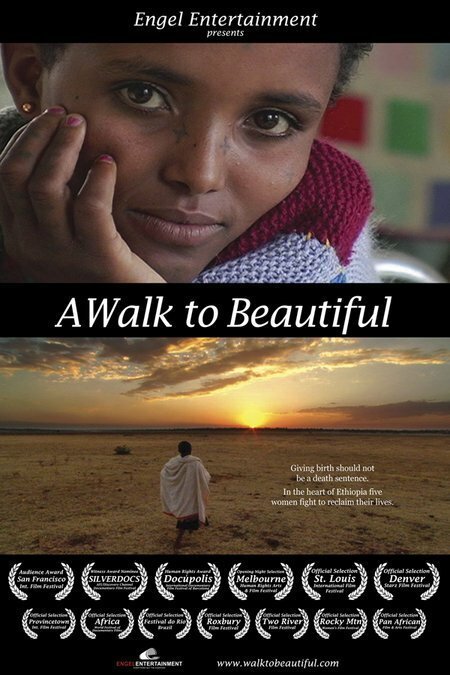 Обложка (Постер) A Walk to Beautiful (2007) HDRip Обложка (Постер) A Walk to Beautiful (2007) HDRip