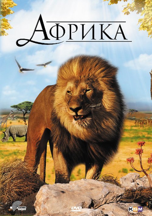 Обложка (Постер) Африка 3D / Faszination Afrika 3D (2011) HDRip Обложка (Постер) Африка 3D / Faszination Afrika 3D (2011) HDRip