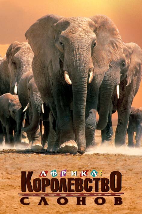 Обложка (Постер) Африка — королевство слонов / Africa's Elephant Kingdom (1998) HDRip