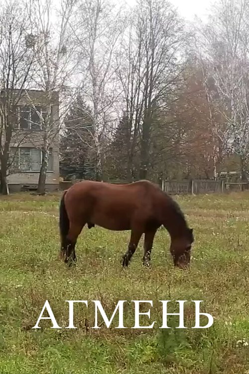 Обложка (Постер) Агмень (2017) HDRip Обложка (Постер) Агмень (2017) HDRip