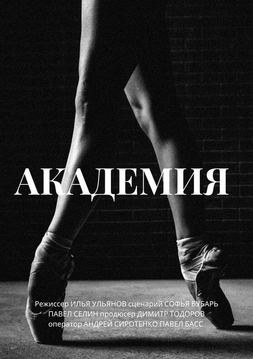 Обложка (Постер) Академия (2014) HDRip Обложка (Постер) Академия (2014) HDRip
