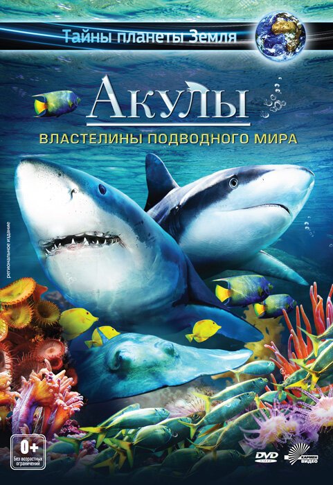 Обложка (Постер) Акулы 3D: Властелины подводного мира / Sharks 3D: Kings of the Ocean (2013) HDRip Обложка (Постер) Акулы 3D: Властелины подводного мира / Sharks 3D: Kings of the Ocean (2013) HDRip
