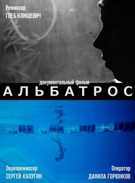 Обложка (Постер) Альбатрос (2013) 
