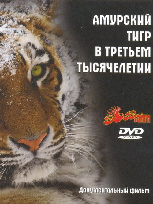 Обложка (Постер) Амурский тигр в третьем тысячелетии (2010) HDRip Обложка (Постер) Амурский тигр в третьем тысячелетии (2010) HDRip