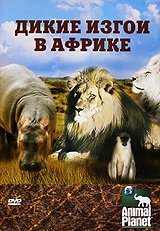 Обложка (Постер) Animal Planet: Дикие изгои в Африке / Animal Planet: Africa's Outsiders (2006) HDRip Обложка (Постер) Animal Planet: Дикие изгои в Африке / Animal Planet: Africa's Outsiders (2006) HDRip