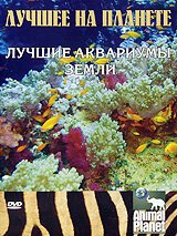 Обложка (Постер) Animal Planet: Лучшее на планете. Лучшие аквариумы земли / Planet's Best Aquariums (2006) HDRip Обложка (Постер) Animal Planet: Лучшее на планете. Лучшие аквариумы земли / Planet's Best Aquariums (2006) HDRip