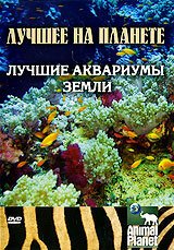 Обложка (Постер) Animal Planet: Лучшие аквариумы земли / Animal Planet (2007) HDRip Обложка (Постер) Animal Planet: Лучшие аквариумы земли / Animal Planet (2007) HDRip