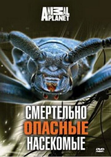 Обложка (Постер) Animal Planet: Смертельно опасные насекомые / Deadly Bugs (1998) HDRip
