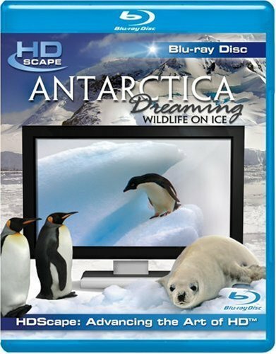 Обложка (Постер) Антарктика — Дикая жизнь на льду / Antarctica Dreaming - WildLife On Ice (2006) HDRip Обложка (Постер) Антарктика — Дикая жизнь на льду / Antarctica Dreaming - WildLife On Ice (2006) HDRip
