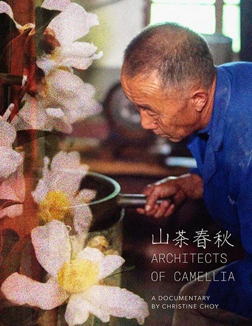 Обложка (Постер) Архитекторы камелий / The Architects of Camellia (2019) 