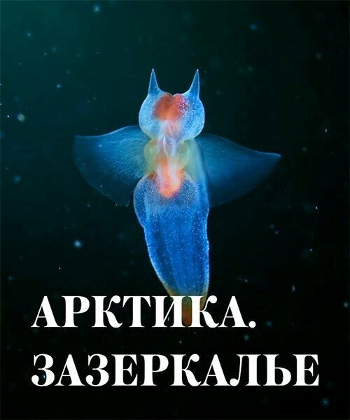Обложка (Постер) Арктика. Зазеркалье (2017) HDRip Обложка (Постер) Арктика. Зазеркалье (2017) HDRip