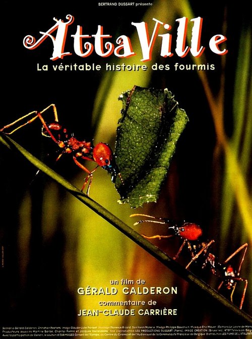 Обложка (Постер) Attaville, la véritable histoire des fourmis (1998) HDRip