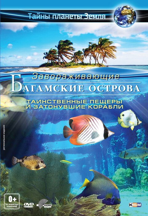 Обложка (Постер) Багамские острова 3D: Таинственные пещеры и затонувшие корабли / Adventure Bahamas 3D: Mysterious Caves And Wrecks (2012) HDRip Обложка (Постер) Багамские острова 3D: Таинственные пещеры и затонувшие корабли / Adventure Bahamas 3D: Mysterious Caves And Wrecks (2012) HDRip