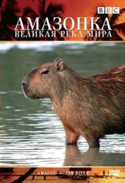 Обложка (Постер) BBC: Амазонка — великая река мира / Amazon: Super river (2007) HDRip Обложка (Постер) BBC: Амазонка — великая река мира / Amazon: Super river (2007) HDRip