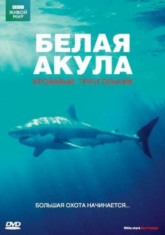 Обложка (Постер) BBC: Белая акула. Кровавый треугольник / White Shark. Red Triangle (2002) HDRip Обложка (Постер) BBC: Белая акула. Кровавый треугольник / White Shark. Red Triangle (2002) HDRip