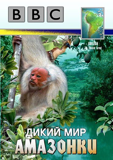 Обложка (Постер) BBC: Дикий мир Амазонки / BBC: Amazon: The Flooded Forest (1989) SATRip