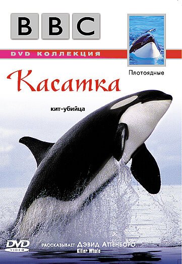 Обложка (Постер) BBC: Касатка / Killer Whale (2003) HDRip Обложка (Постер) BBC: Касатка / Killer Whale (2003) HDRip