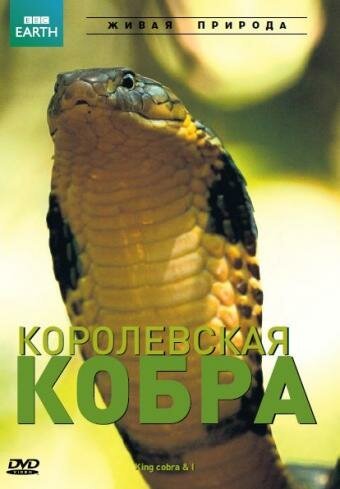 Обложка (Постер) BBC: Королевская кобра / King Cobra and I (2005) HDRip