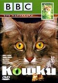 Обложка (Постер) BBC: Кошки / Cats (1991) HDRip