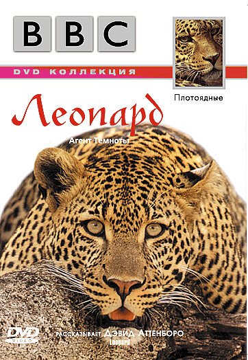Обложка (Постер) BBC: Леопард / Wildlife Special: Leopard (1999) HDRip